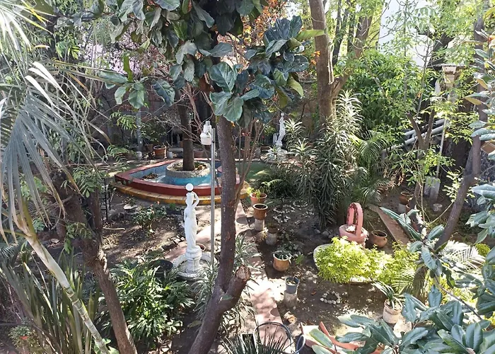 Colibri * Cidade do México